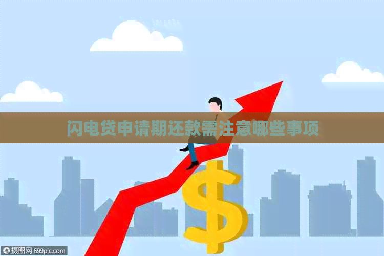 闪电贷申请期还款需注意哪些事项