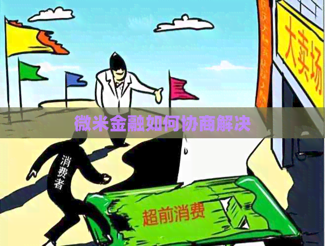 微米金融如何协商解决