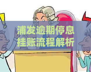 浦发逾期停息挂账流程解析