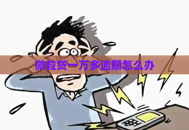 微粒贷一万多逾期怎么办