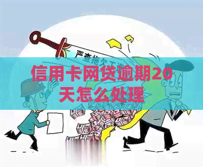 信用卡网贷逾期20天怎么处理