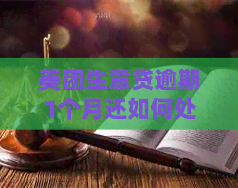 美团生意贷逾期1个月还如何处理