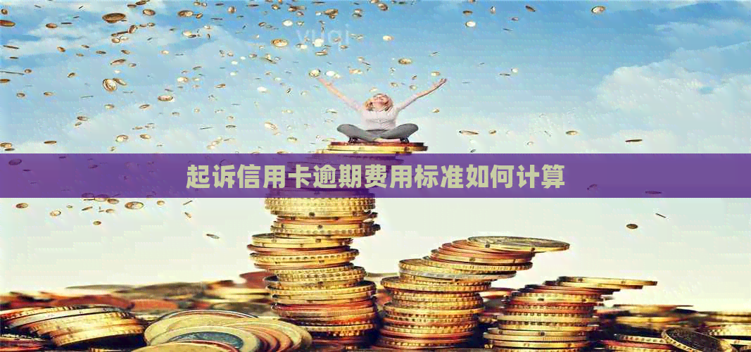 起诉信用卡逾期费用标准如何计算