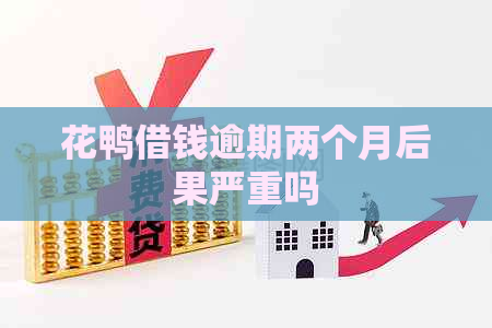 花鸭借钱逾期两个月后果严重吗