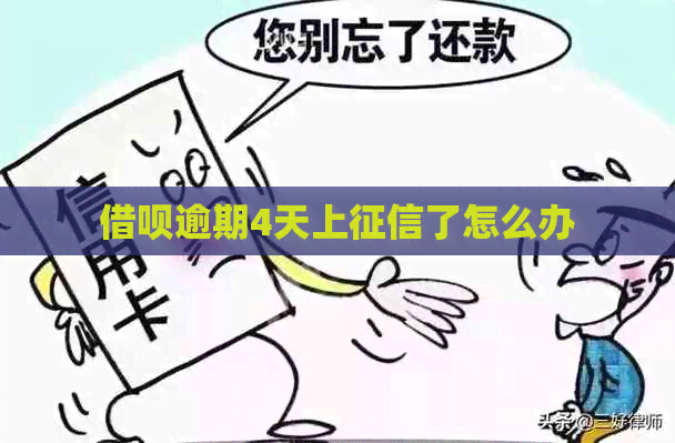 借呗逾期4天上了怎么办