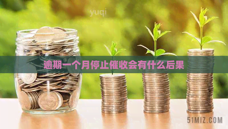 逾期一个月停止会有什么后果