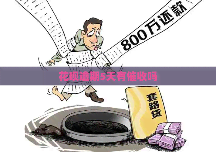 花呗逾期5天有吗