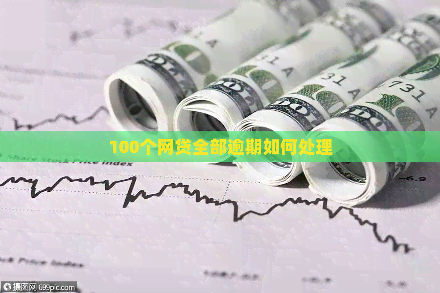 100个网贷全部逾期如何处理