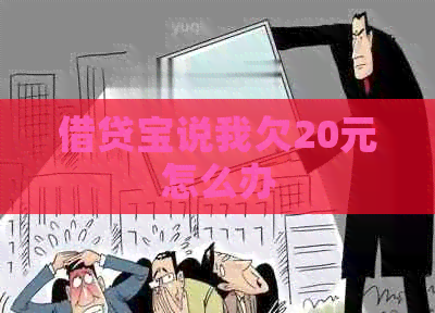 借贷宝说我欠20元怎么办