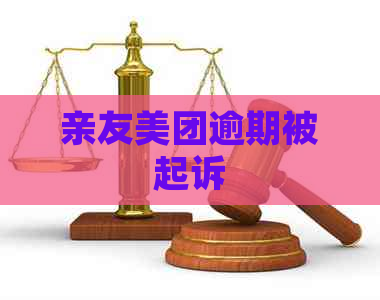 亲友美团逾期被起诉