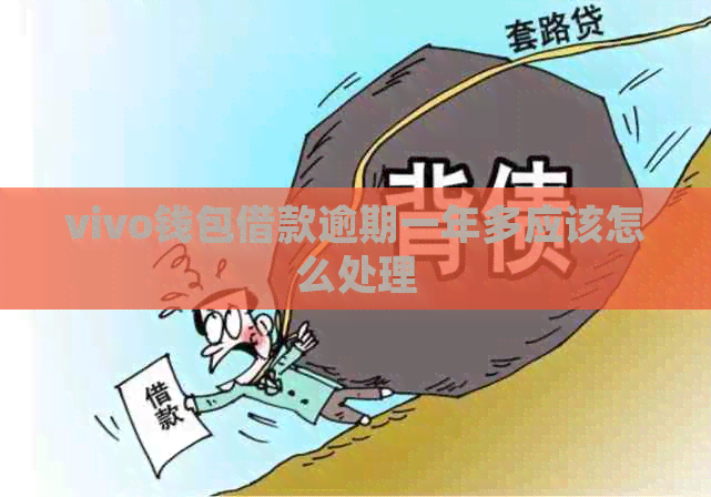 vivo钱包借款逾期一年多应该怎么处理