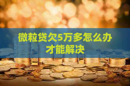 微粒贷欠5万多怎么办才能解决