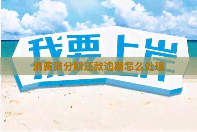 消费贷分期还款逾期怎么处理