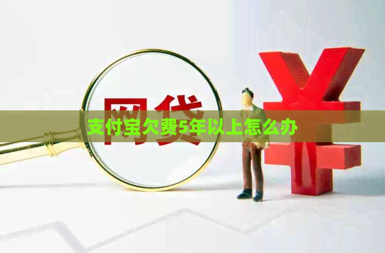 支付宝欠费5年以上怎么办
