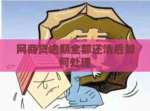 网商贷逾期全部还清后如何处理