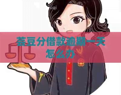 芸豆分借款逾期一天怎么办