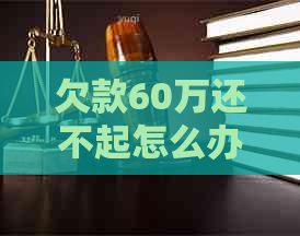 欠款60万还不起怎么办理
