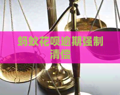 蚂蚁花呗逾期强制清偿