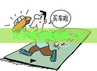 欠中原消费金融一年