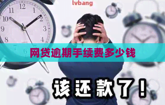 网贷逾期手续费多少钱