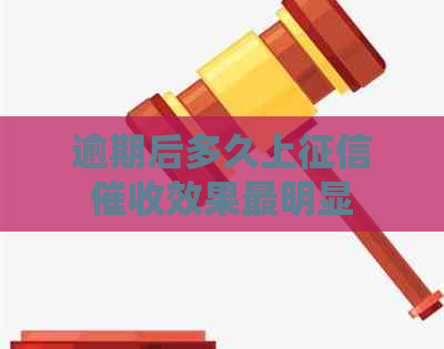 逾期后多久上效果最明显