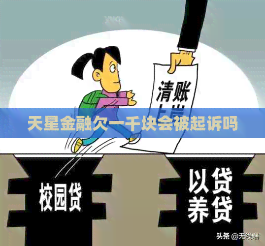天星金融欠一千块会被起诉吗