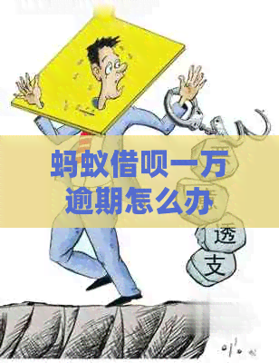 蚂蚁借呗一万逾期怎么办