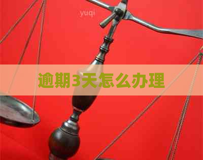 逾期3天怎么办理