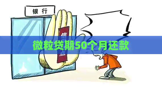 微粒贷期50个月还款