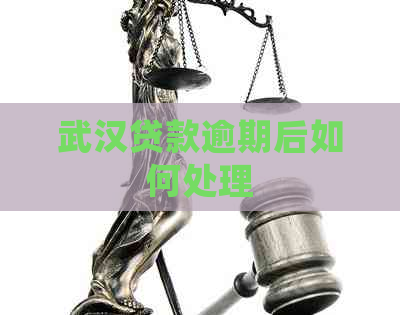 武汉贷款逾期后如何处理
