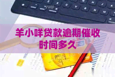 羊小咩贷款逾期时间多久