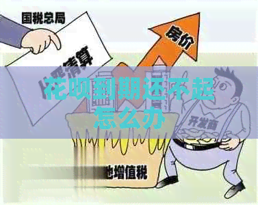 花呗到期还不起怎么办