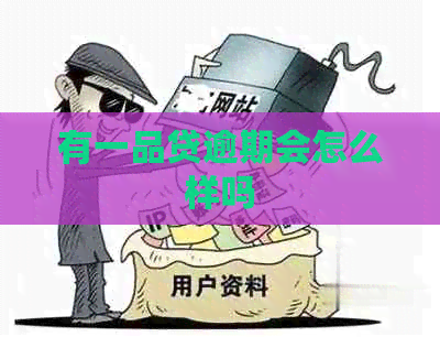 有一品贷逾期会怎么样吗