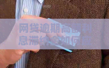 网贷逾期高额利息滞纳金如何应对