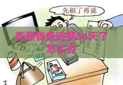 花薪钱包逾期36天了怎么办