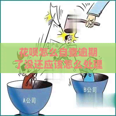 花呗怎么自查逾期了没还应该怎么处理