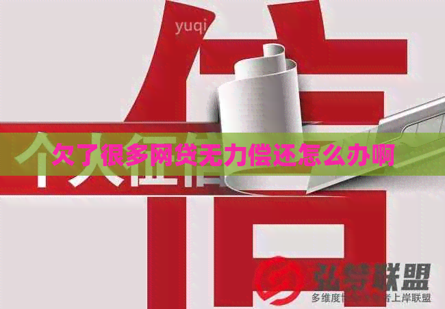 欠了很多网贷无力偿还怎么办啊
