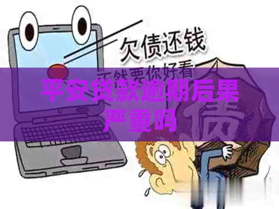 平安贷款逾期后果严重吗