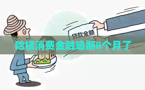 哈银消费金融逾期8个月了