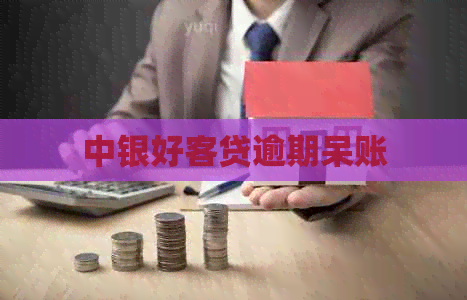 中银好客贷逾期呆账