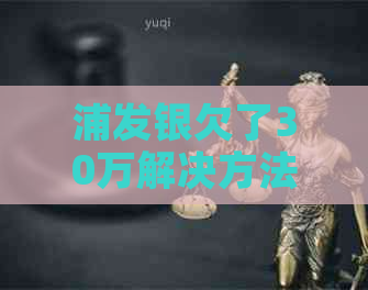 浦发银欠了30万解决方法