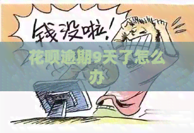 花呗逾期9天了怎么办