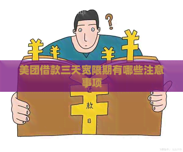 美团借款三天宽限期有哪些注意事项