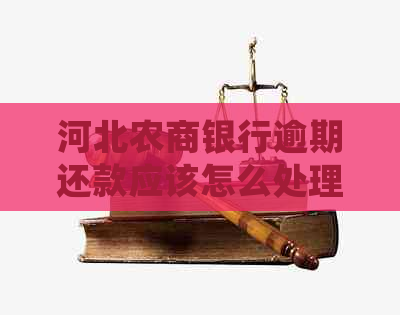 河北农商银行逾期还款应该怎么处理