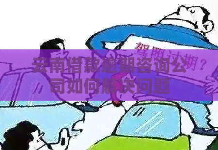 云南借款逾期咨询公司如何解决问题