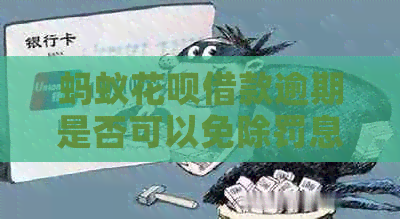 蚂蚁花呗借款逾期是否可以免除罚息