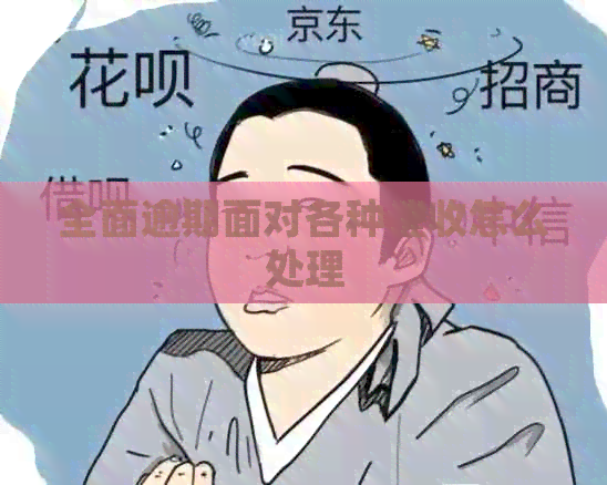 全面逾期面对各种怎么处理