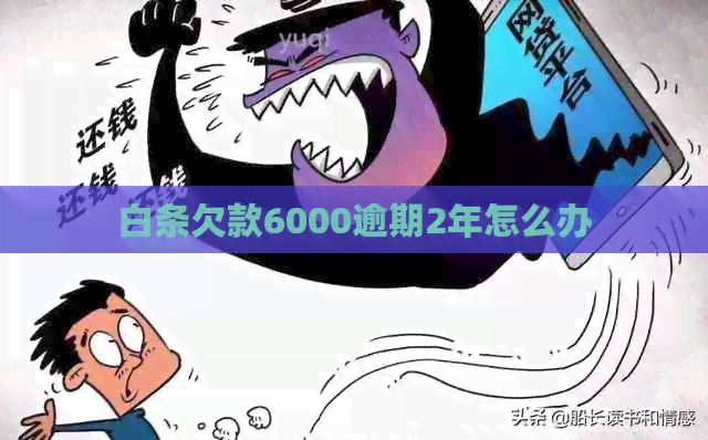 白条欠款6000逾期2年怎么办