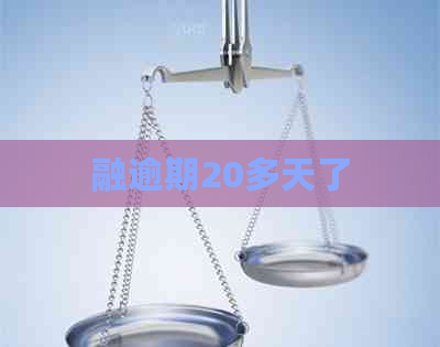 融逾期20多天了