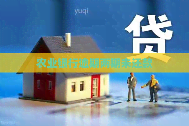 农业银行逾期两期未还款